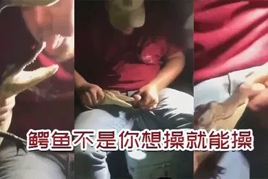【厂牌经典】鳄.鱼不.是你想.操想.操就能.操