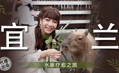 【自拍偷拍】MM078 宜兰水豚疗愈之旅