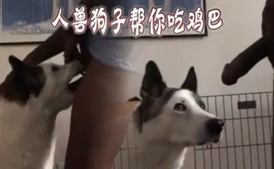 【人兽】人兽狗子帮你吃鸡巴
