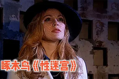 【厂牌经典】啄木鸟系列性迷宫
